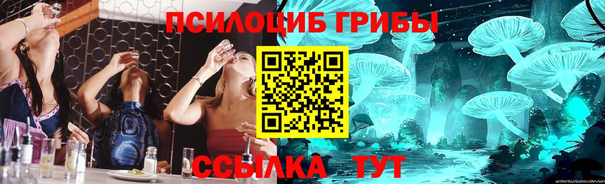 Карабулак  Галлюциногенные грибы Magic Shrooms  Вход с VPN  Псилоцибиновые грибы Psilocybe 